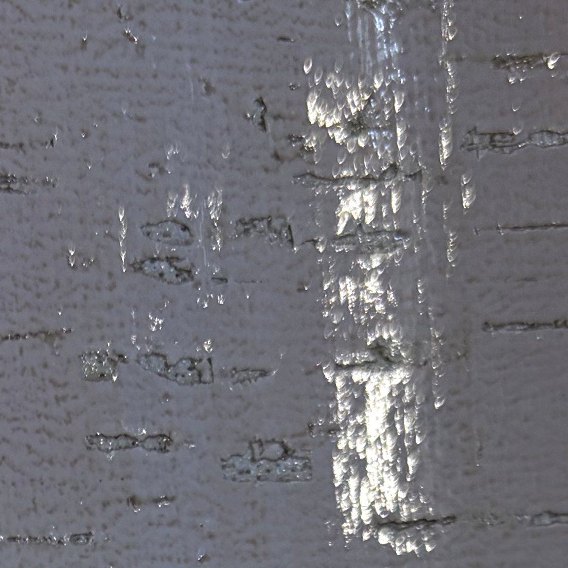 YC-24KS2630219 Texture & Effects texture